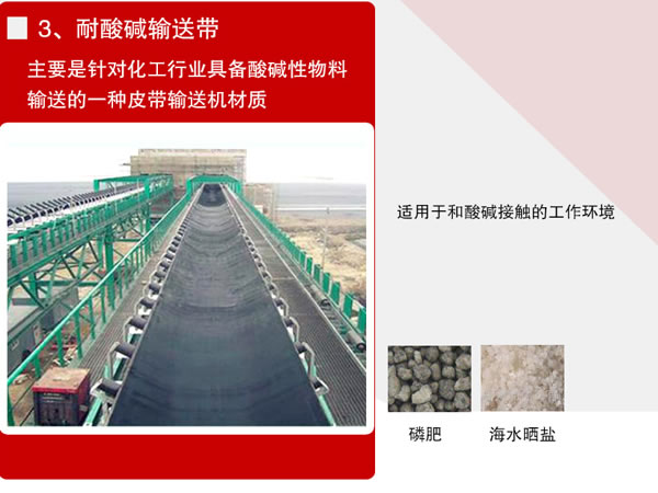 耐酸堿輸送帶 耐酸堿輸送帶
